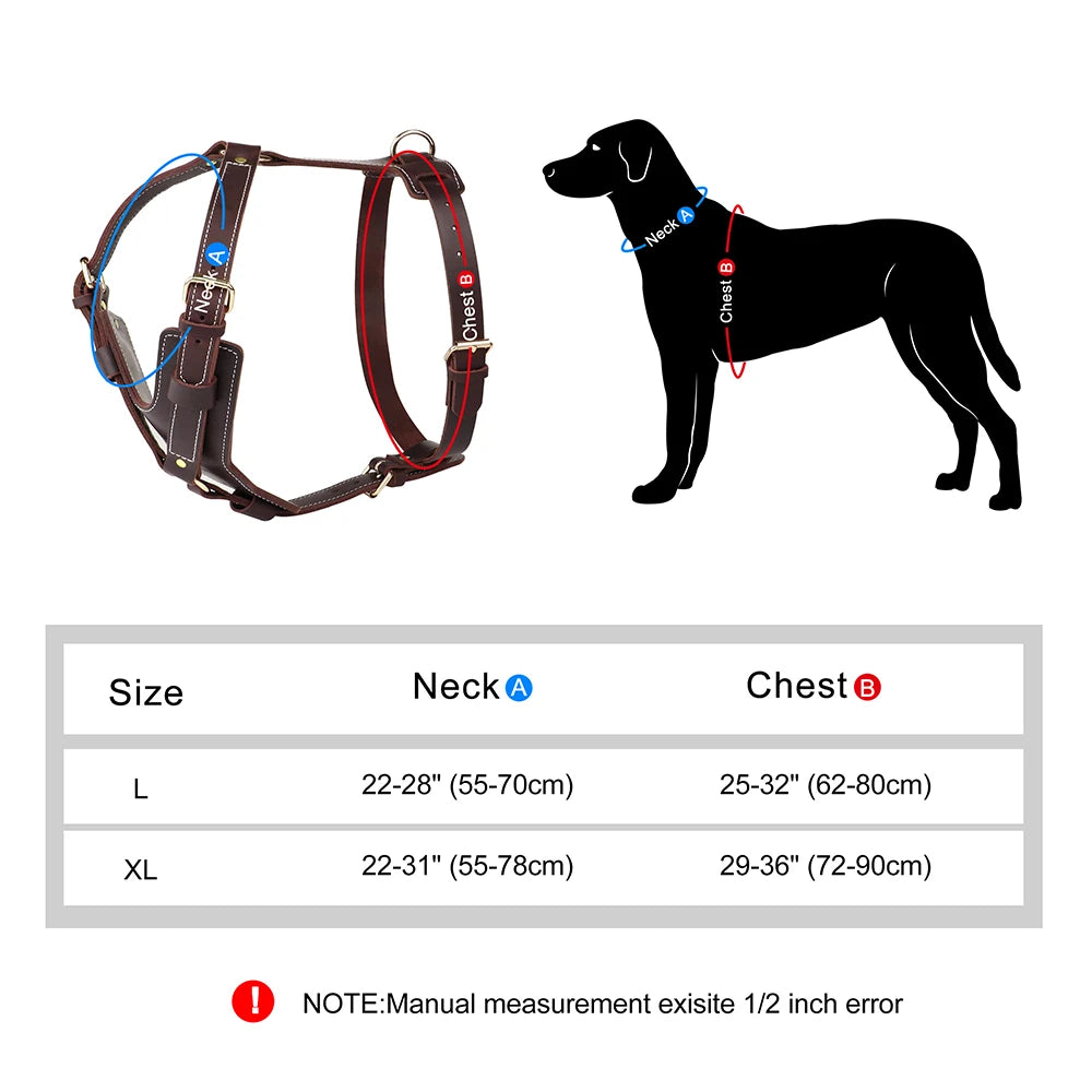 Guide des tailles L et XL du harnais en cuir pour grand chien