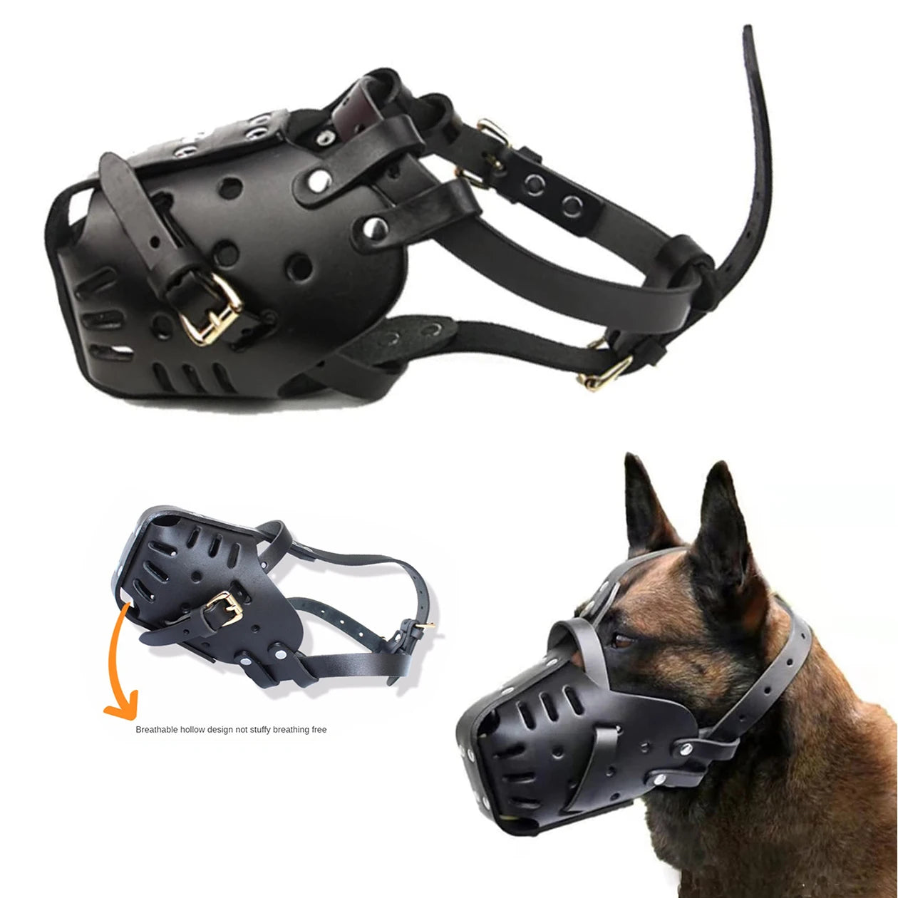 Muselière panier en cuir portée par un chien en promenade
