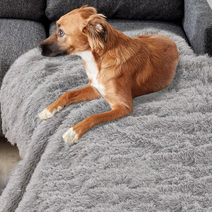 Chien installé sur la couverture polaire chaude et douce