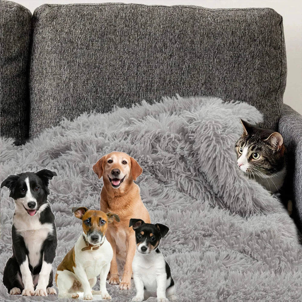 Texture polaire douce et épaisse de la couverture pour chien