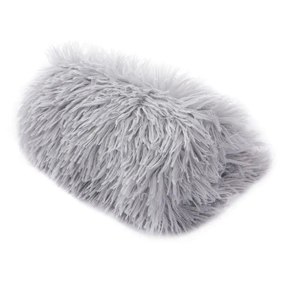 Petit chien roulé en boule sur la couverture polaire
