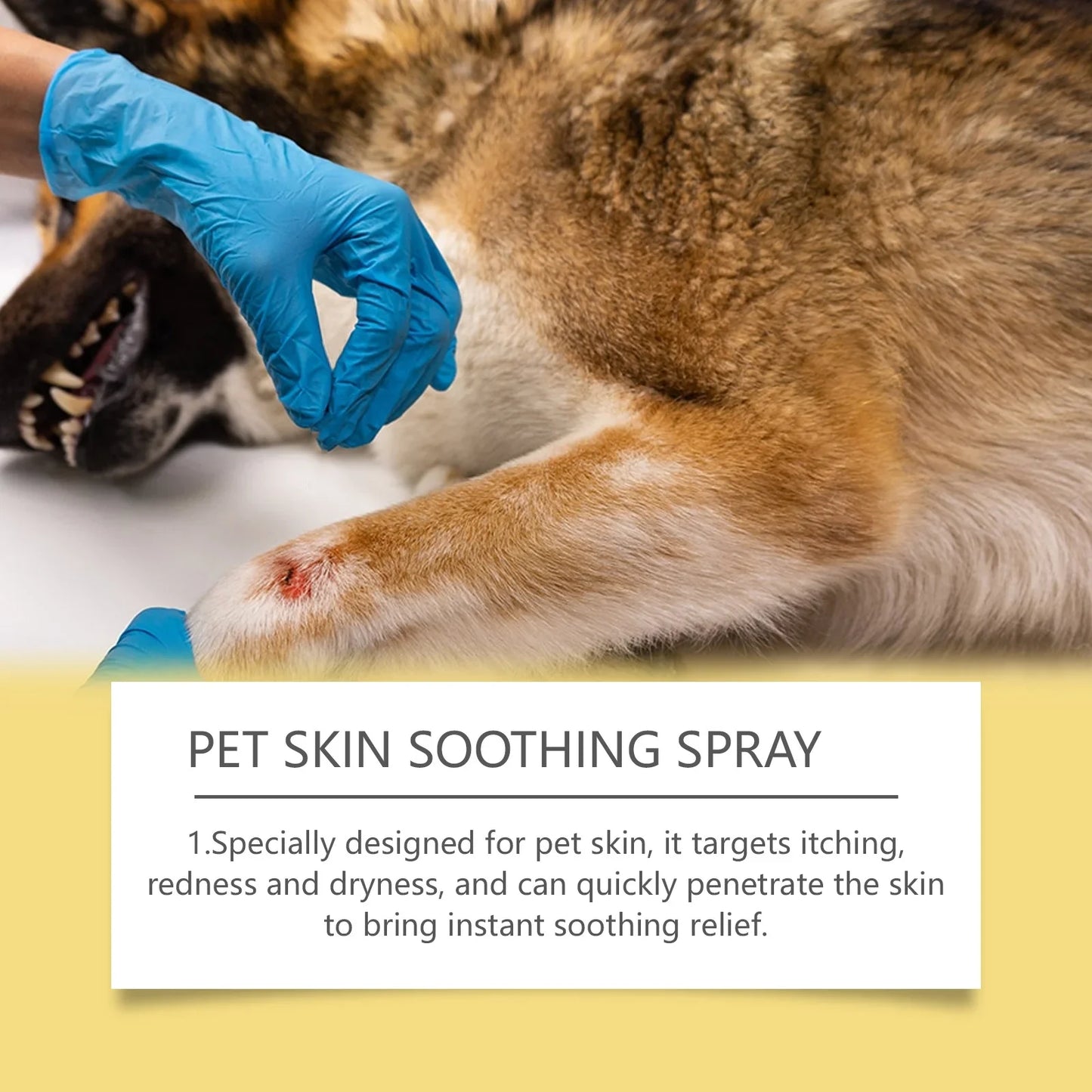 Format nomade du spray apaisant peau pour chien