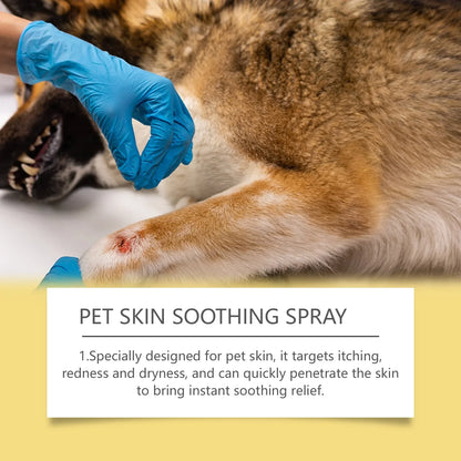 Format nomade du spray apaisant peau pour chien