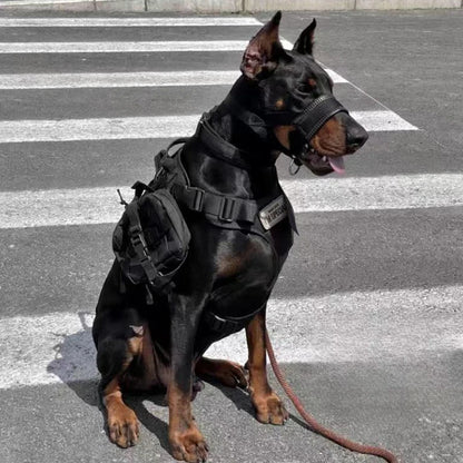 Boucle de sécurité de la muselière nylon pour chien