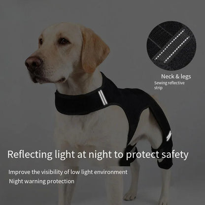 Guide des tailles S à XXL de l'attelle pour chien