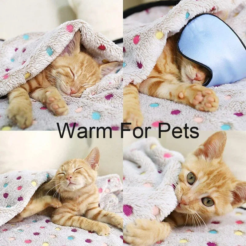 Couverture pour chien et chat protégeant un canapé