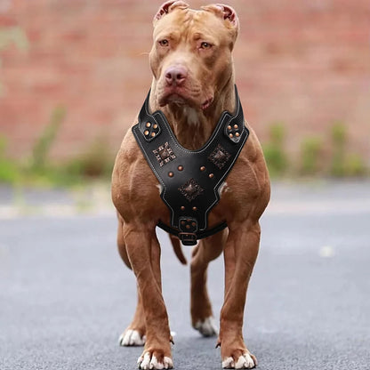 Prise de contrôle dorsale du harnais en cuir noir pour chien