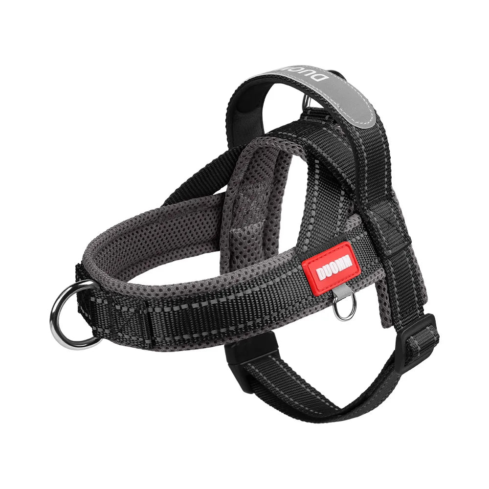 Coloris disponibles du harnais anti-traction pour petit chien