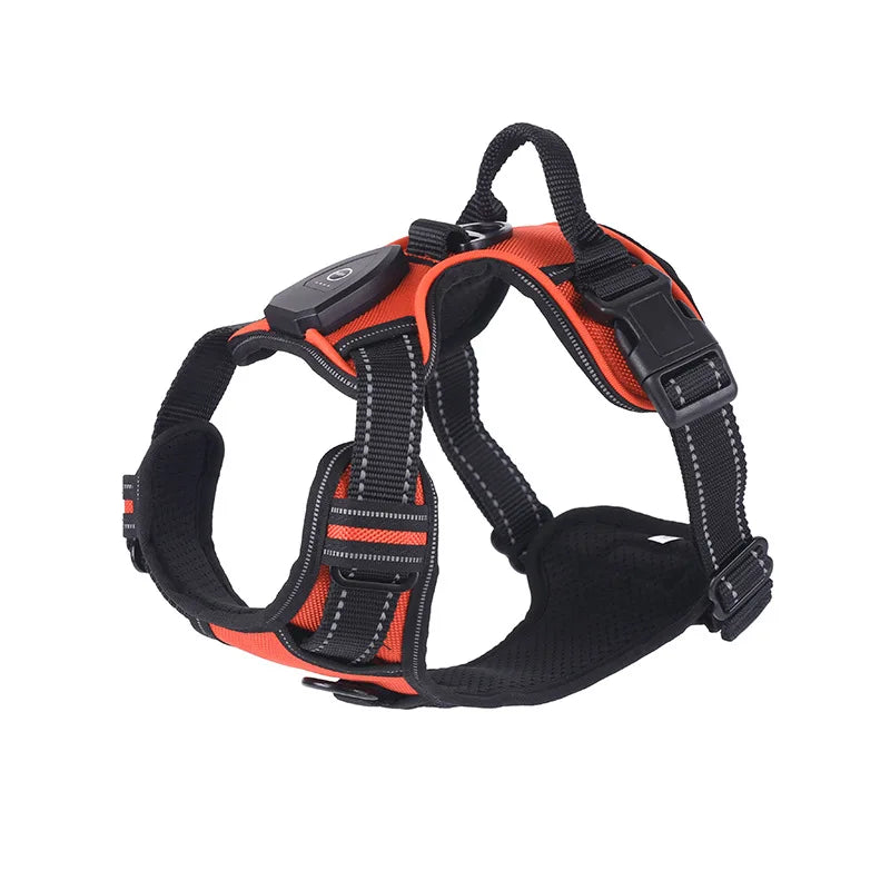 Guide des tailles S à XL du harnais LED pour chien