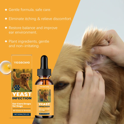 Oreille de chien nettoyée avec une compresse