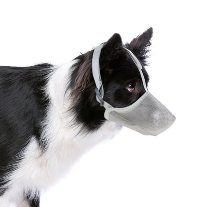 Attache de sécurité de la muselière anti-ramassage pour chien