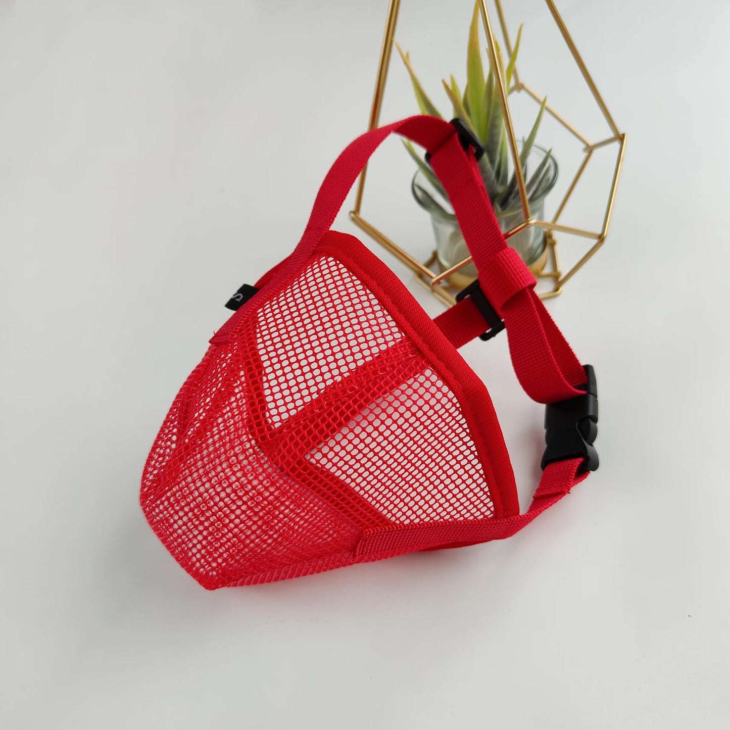 Guide des tailles XS à XL de la muselière grillagée pour chien