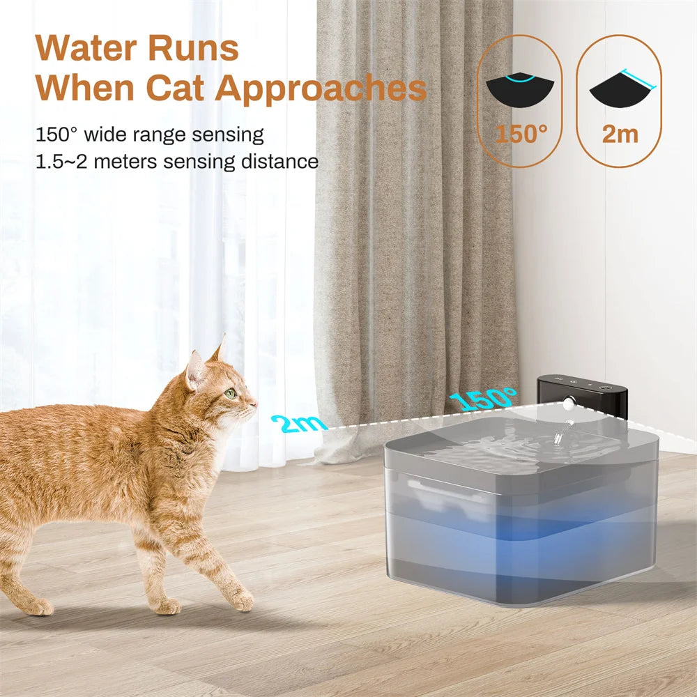Filtre remplaçable de la fontaine à eau sans fil pour chien