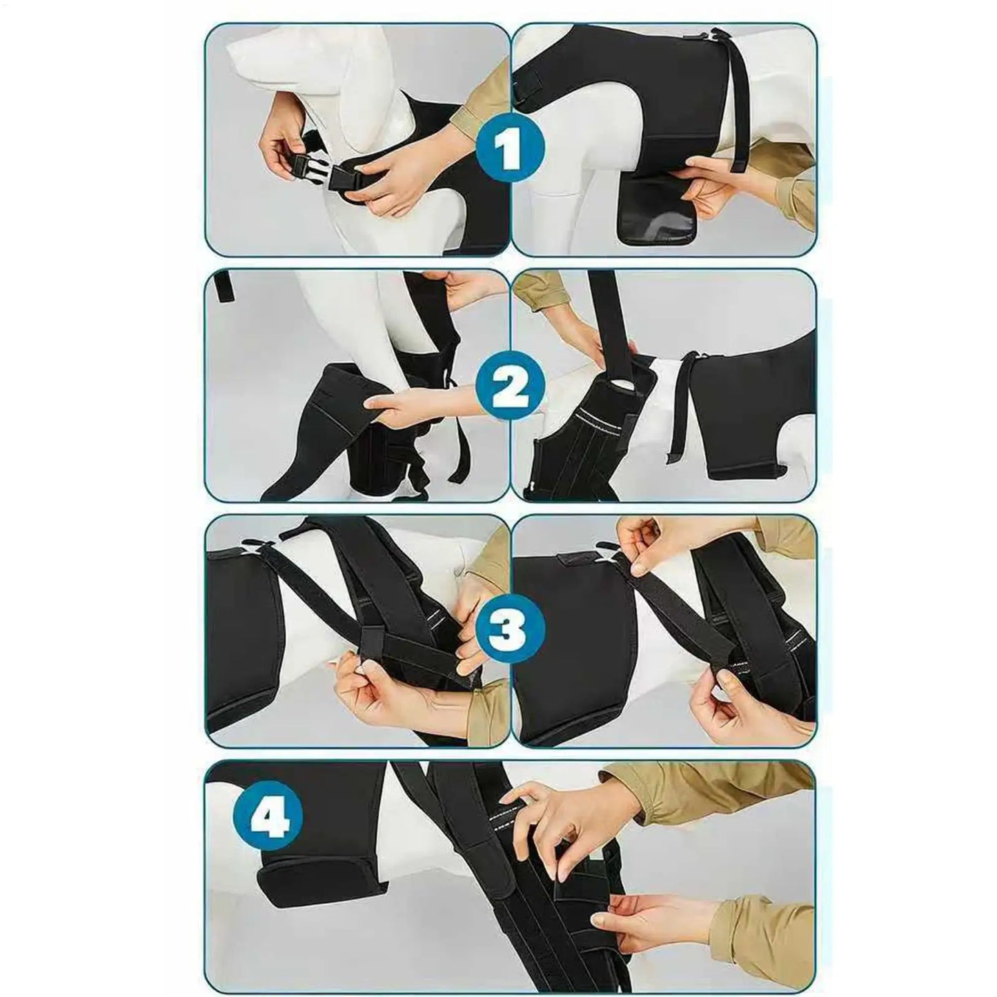 Guide des tailles S à XL du manchon de jarret pour chien