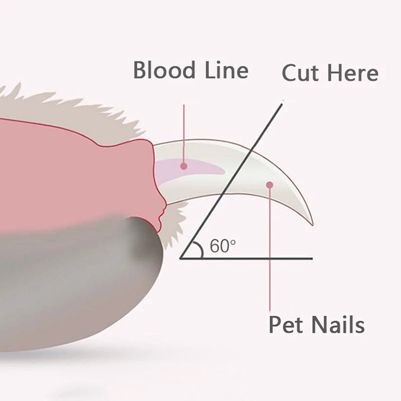 Coupe-griffes pour chien coloris rose, bleu et kaki