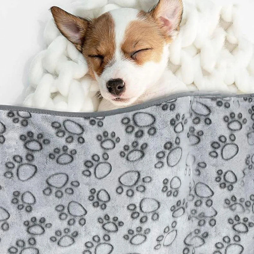 Couverture grise pour chien posée sur un canapé