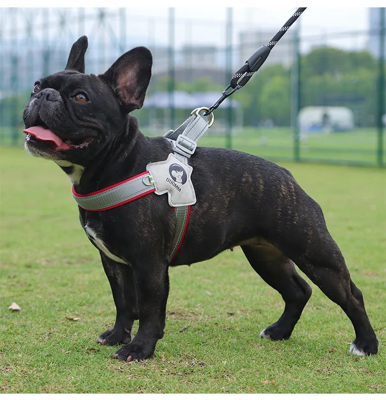 Bandes réfléchissantes du harnais en Y pour chien