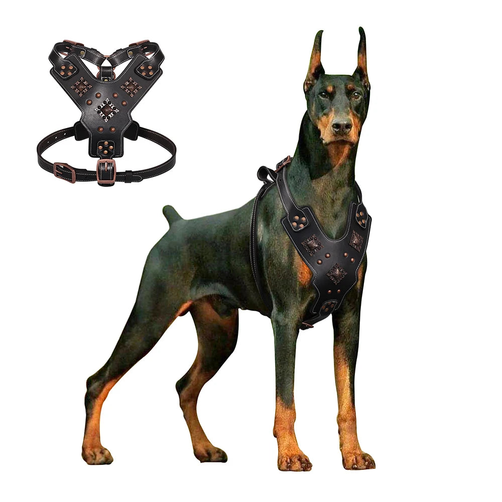Harnais en cuir noir à contrôle rapide pour grand chien Revixay