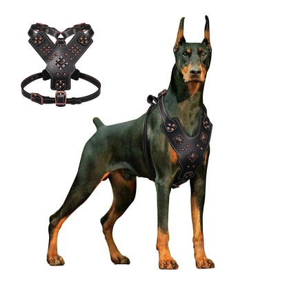 Harnais en cuir noir à contrôle rapide pour grand chien Revixay