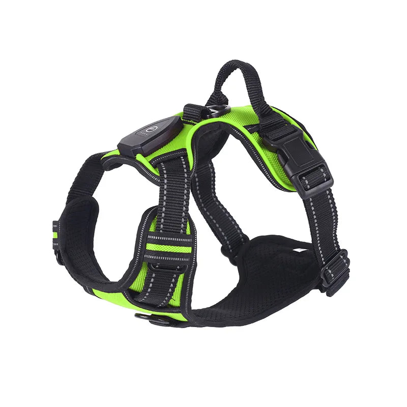 Sangles réglables du harnais lumineux rechargeable pour chien