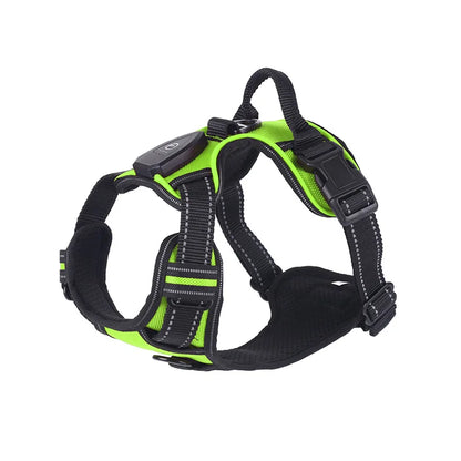 Sangles réglables du harnais lumineux rechargeable pour chien