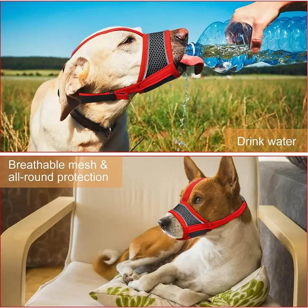 Maille respirante de la muselière anti-léchage pour chien