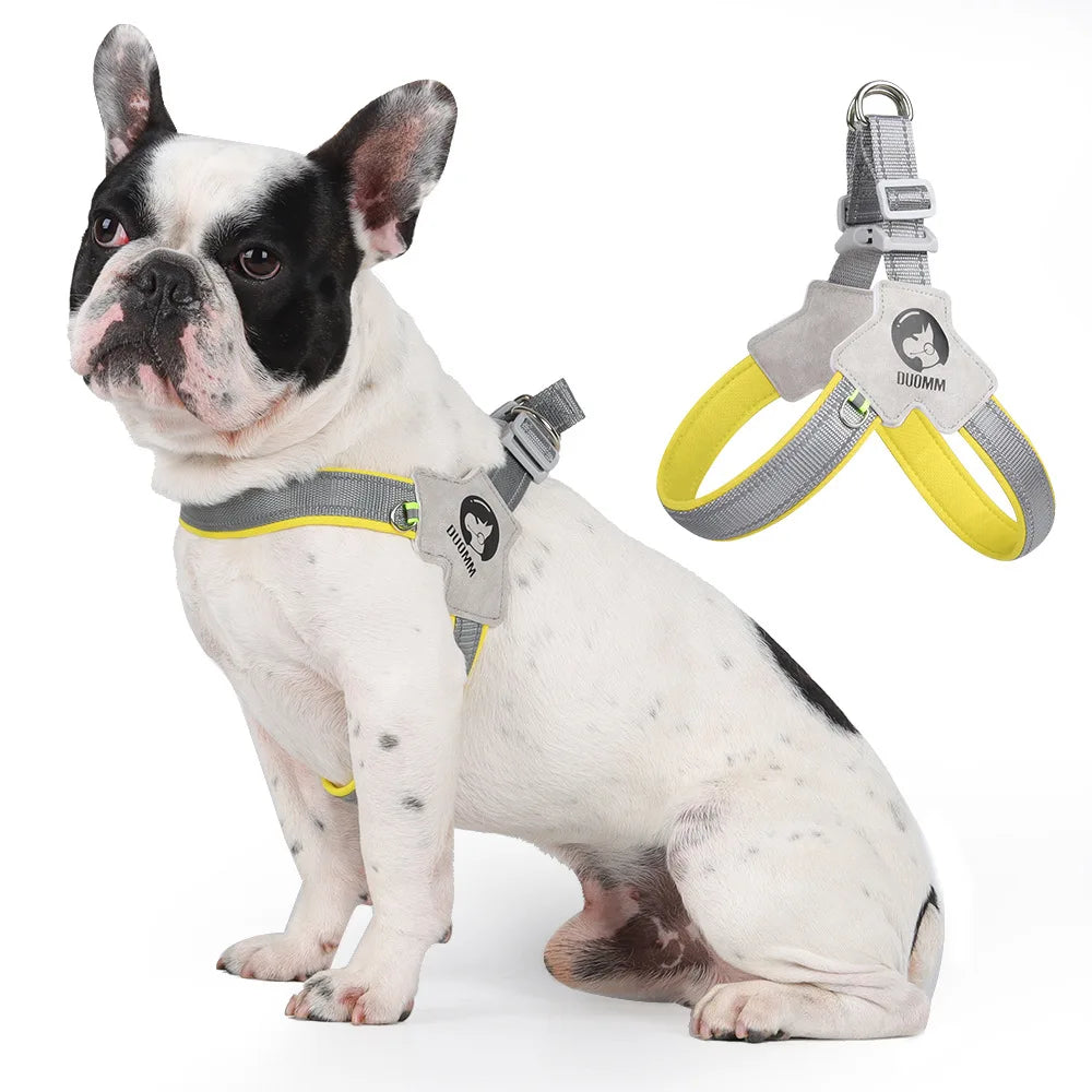Coloris disponibles du harnais en Y pour chien