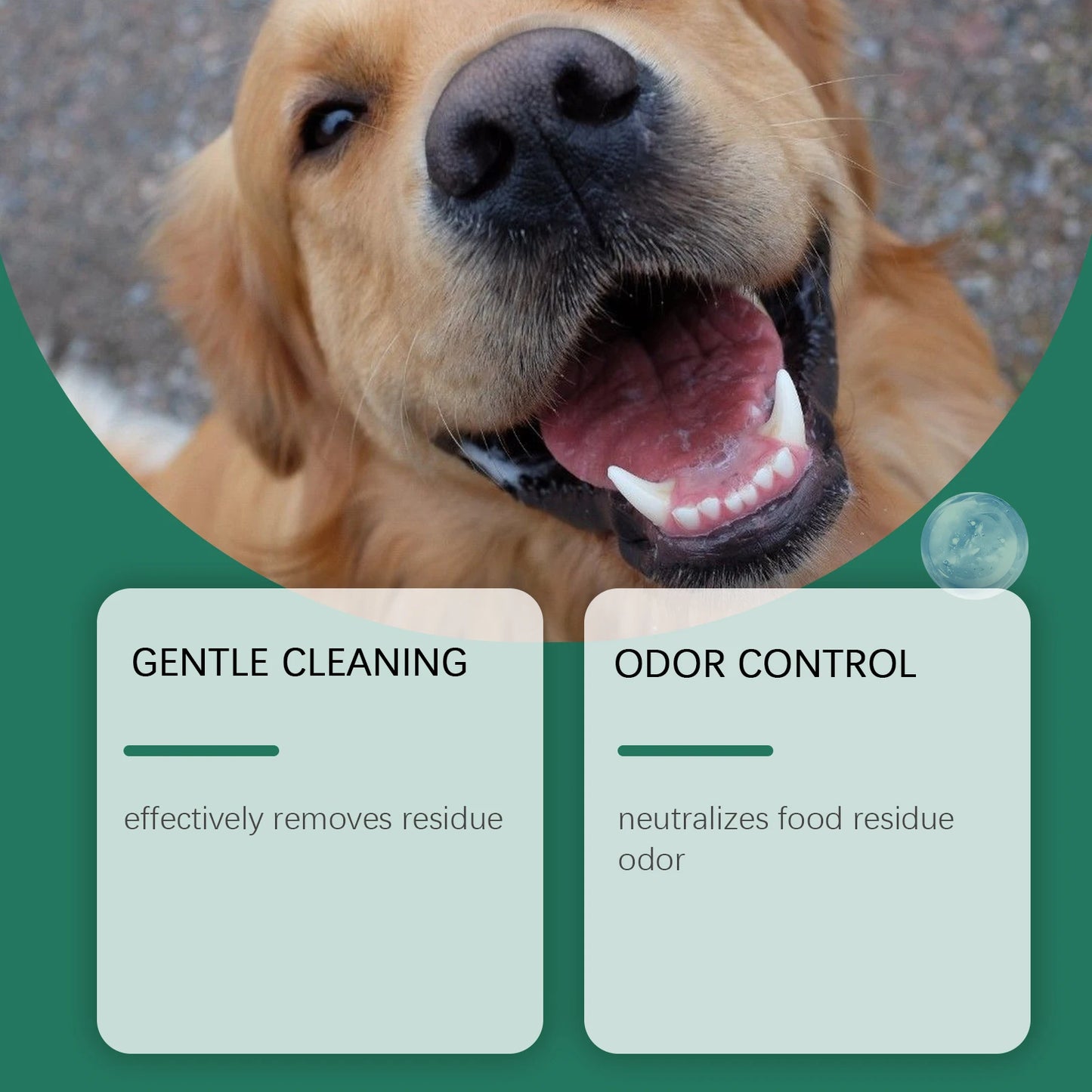 Détail de la texture de la poudre dentaire pour chien