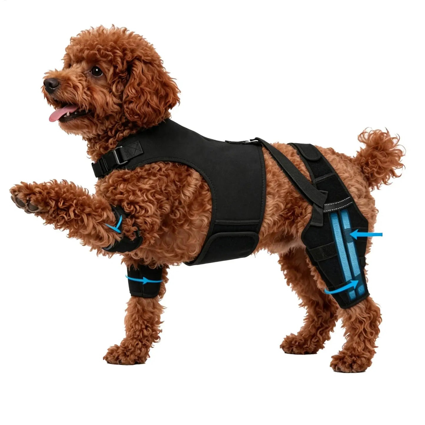 Manchon de jarret pour chien Revixay, coloris noir