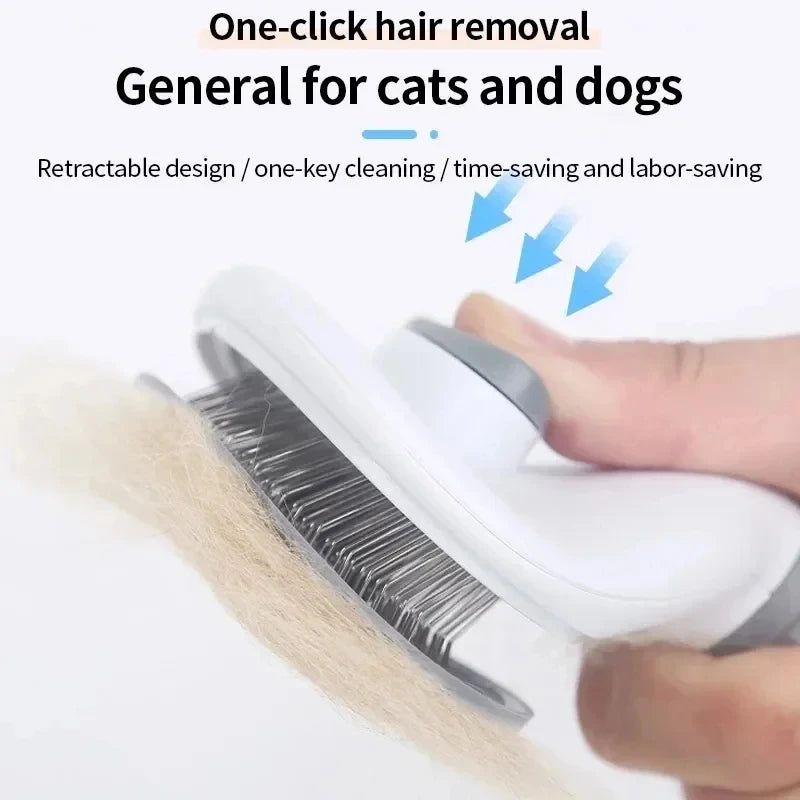 Brosse démêlante utilisée sur un chien à poil long