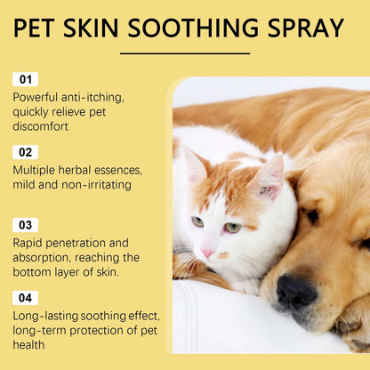 Détail du vaporisateur du spray apaisant pour chien