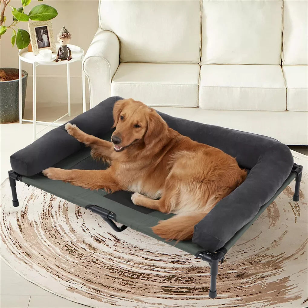 Chien installé sur le lit de camp surélevé à maille rafraîchissante