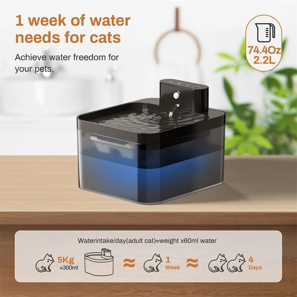 Base de recharge par induction de la fontaine à eau sans fil