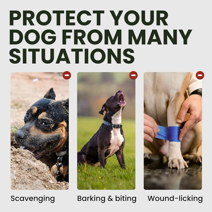 Rembourrage du chanfrein de la muselière métal pour chien