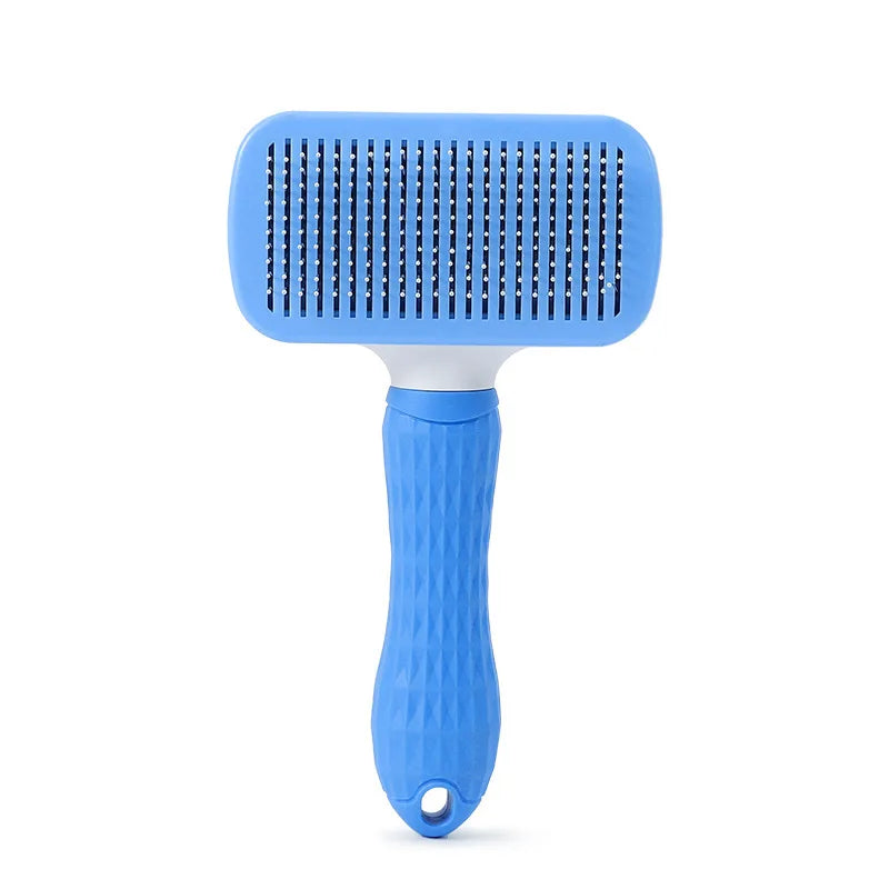 Prise en main de la brosse de massage pour chien