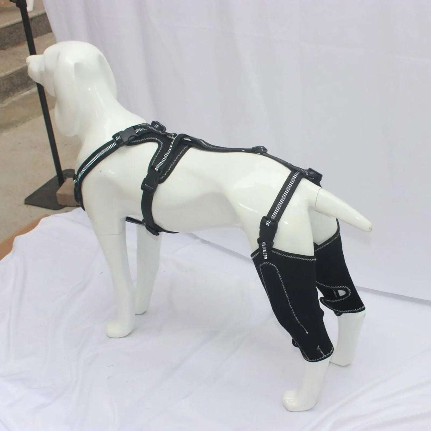 Positionnement de la genouillère sur l'articulation du chien