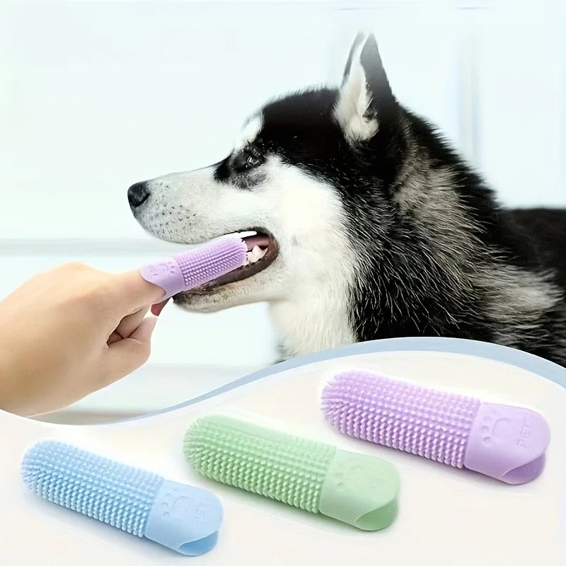 Brosse à doigt utilisée sur les dents d'un chien