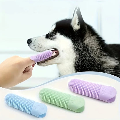 Brosse à doigt utilisée sur les dents d'un chien