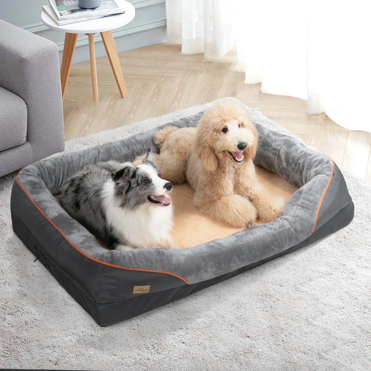 Chien couché sur le lit anti-allergie à housse imperméable