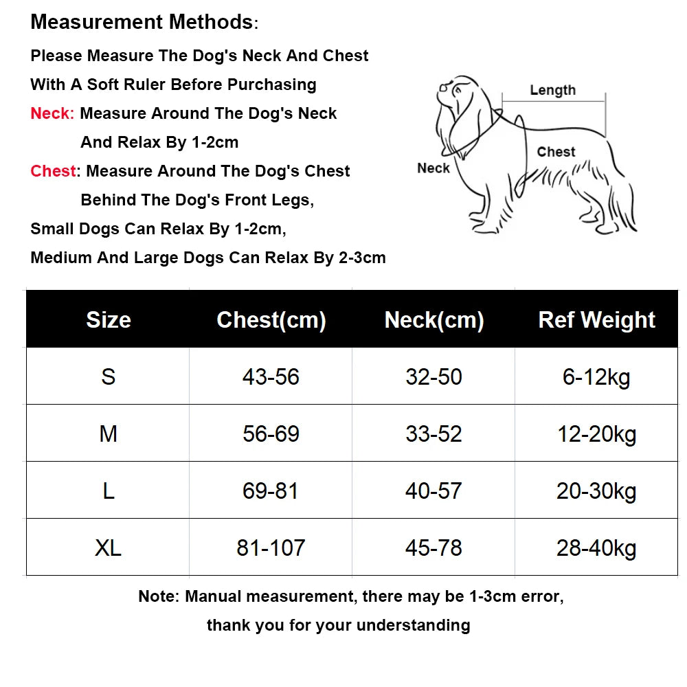 Harnais anti-traction pour chien porté lors d'une promenade en laisse