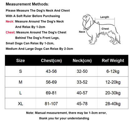 Harnais anti-traction pour chien porté lors d'une promenade en laisse