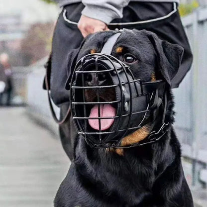Structure en acier inoxydable de la muselière pour chien