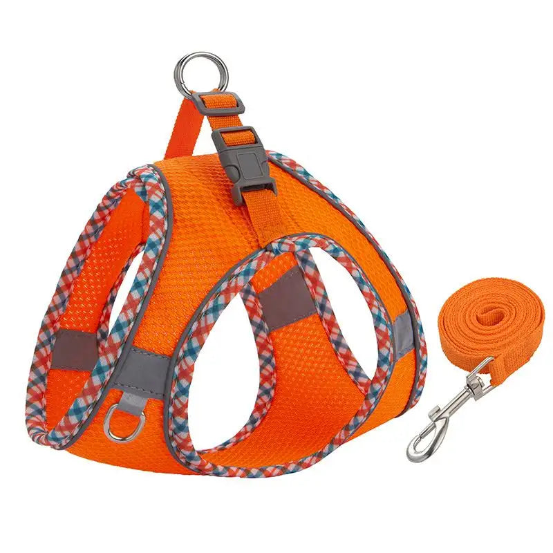 Détail du mousqueton de la laisse pour chien