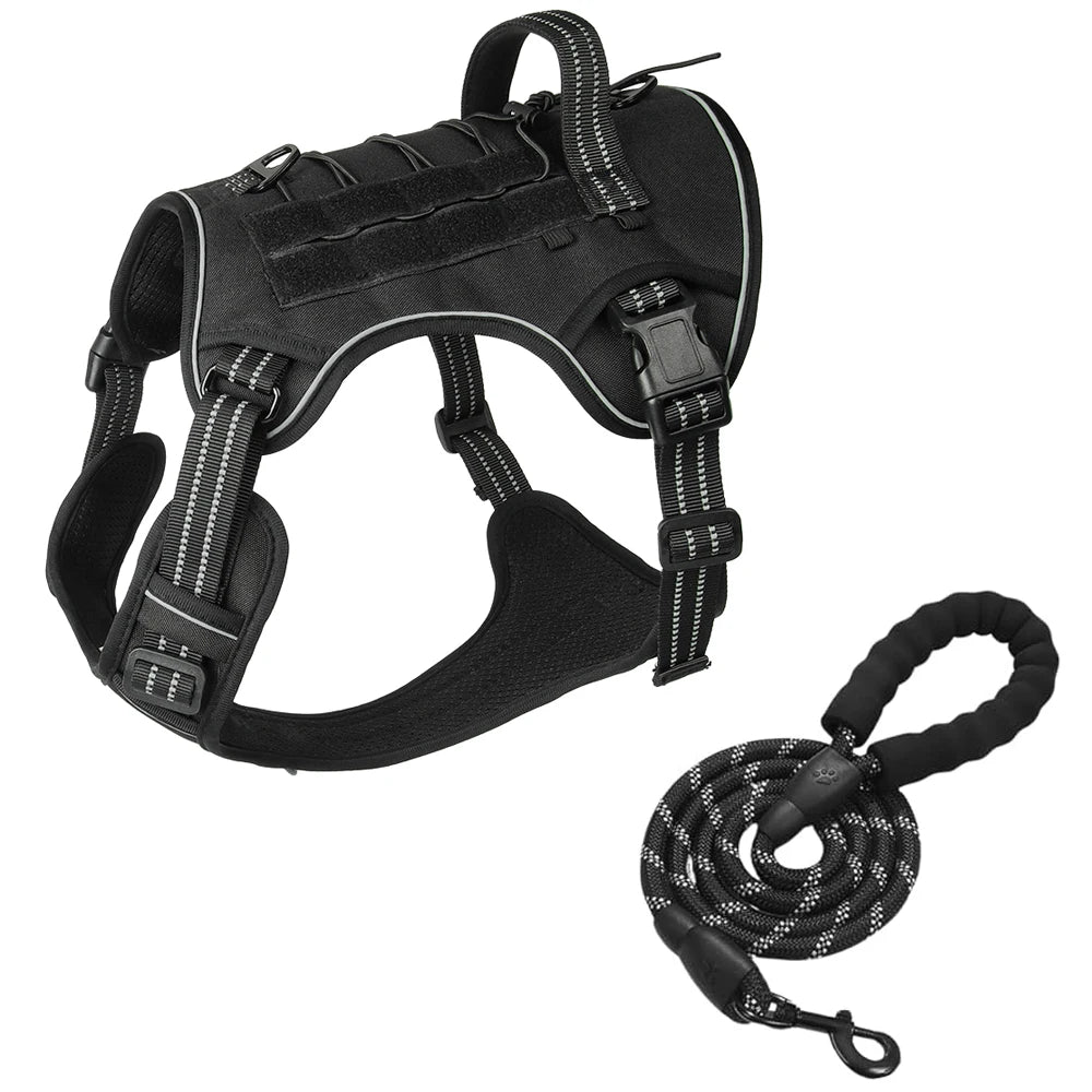 Harnais tactique pour chien vu de dessus, anneau dorsal métallique