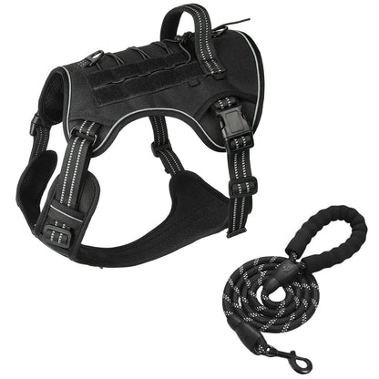Harnais tactique pour chien vu de dessus, anneau dorsal métallique