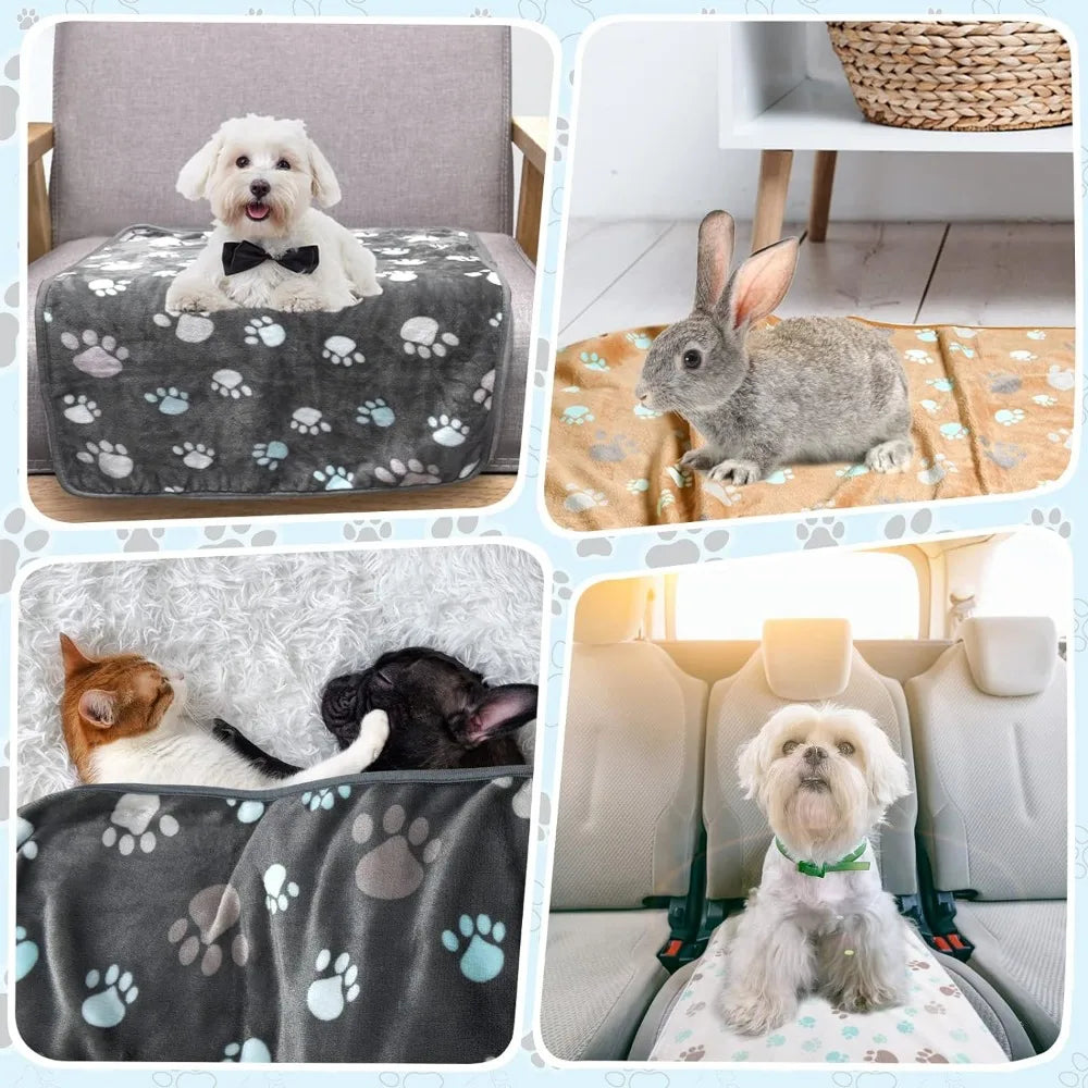Couverture noire pour chien posée sur un canapé