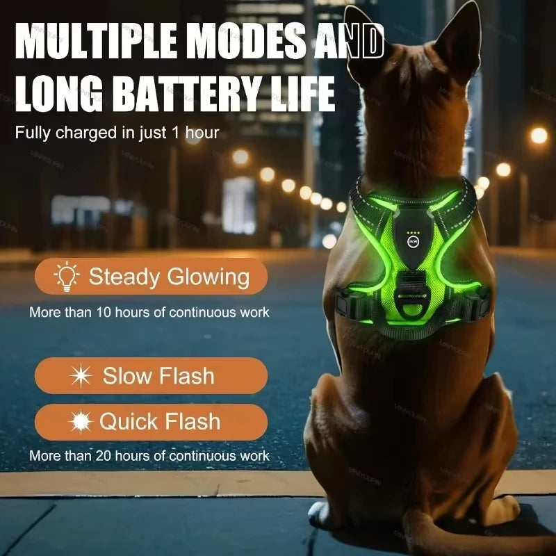 Harnais LED rechargeable pour chien Revixay, coloris rouge