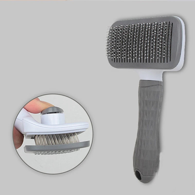 Brosse de massage utilisée sur un chien au poil court