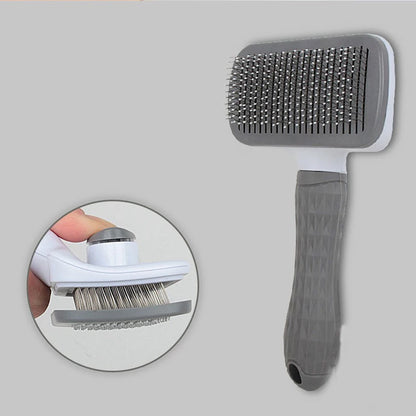 Brosse de massage utilisée sur un chien au poil court