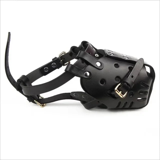Muselière en cuir pour chien vue de face, structure ajourée